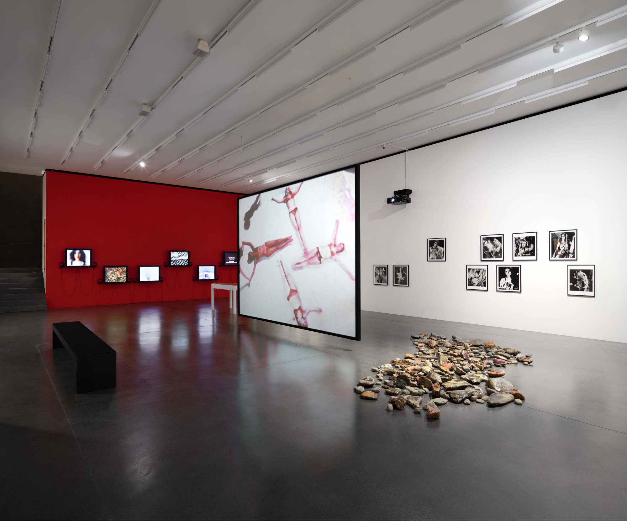 Carolee Schneemann and Aura Rosenberg